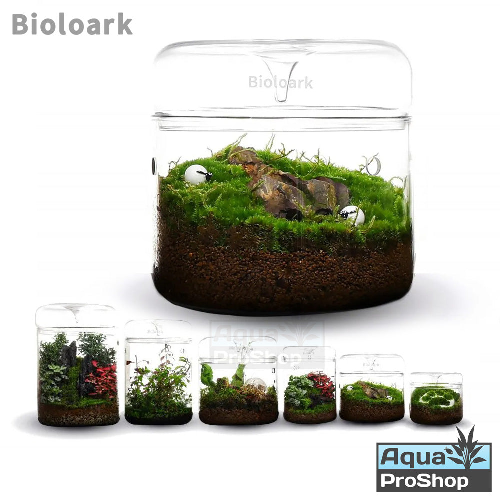 Bioloark MY Series Dew Cup Terrarium โหลแก้วเทอราเรี่ยม โหลเลี้ยงต้นไม้ MY-120 MY-150 MY-180