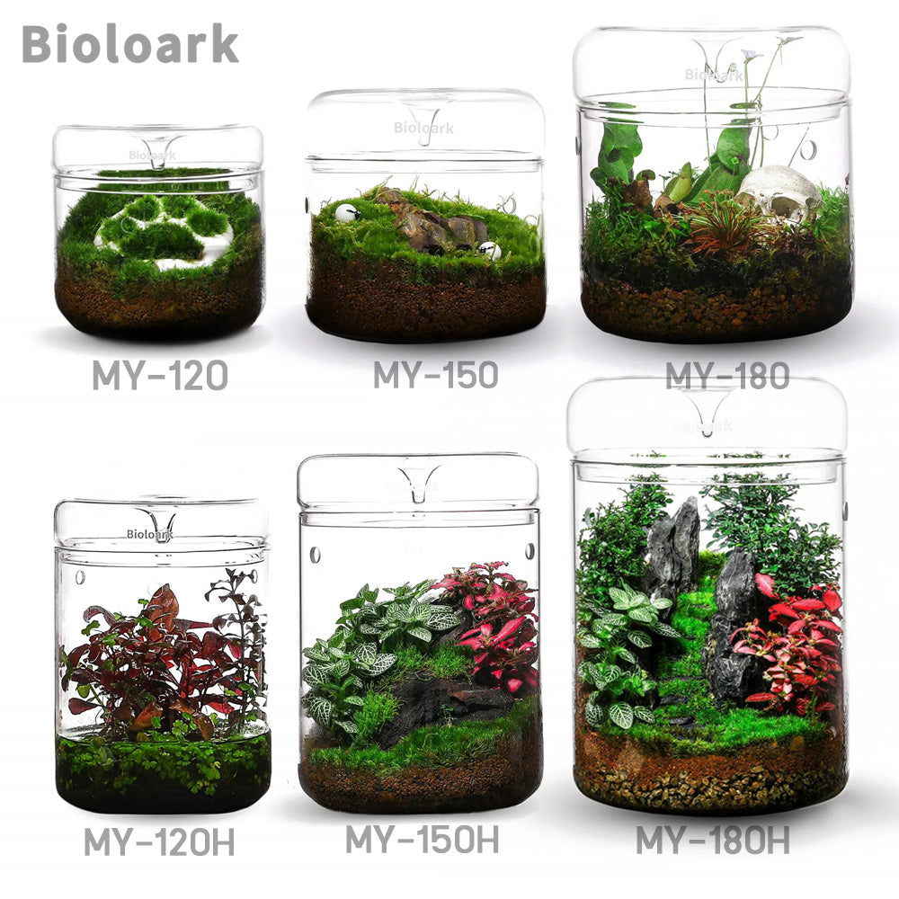 Bioloark MY Series Dew Cup Terrarium โหลแก้วเทอราเรี่ยม โหลเลี้ยงต้นไม้ MY-120 MY-150 MY-180