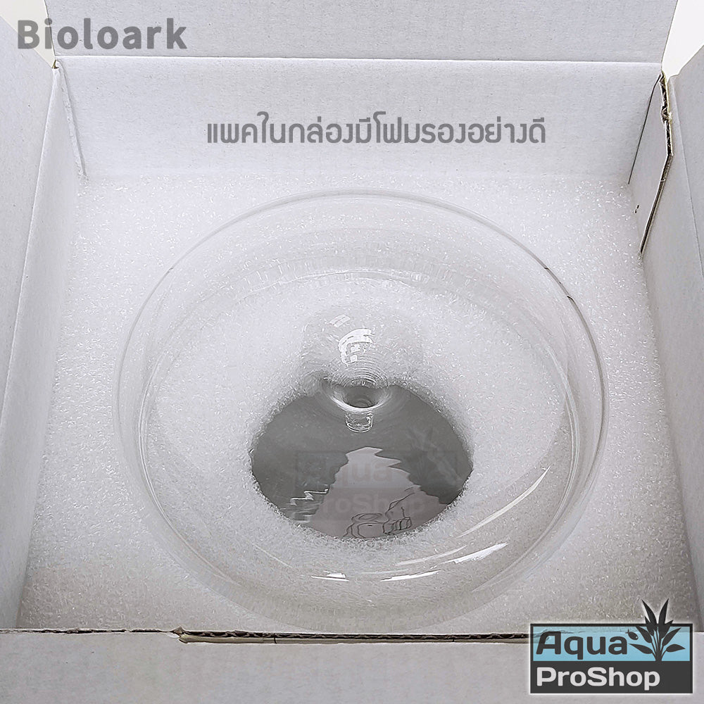 Bioloark MY Series Dew Cup Terrarium โหลแก้วเทอราเรี่ยม โหลเลี้ยงต้นไม้ MY-120 MY-150 MY-180