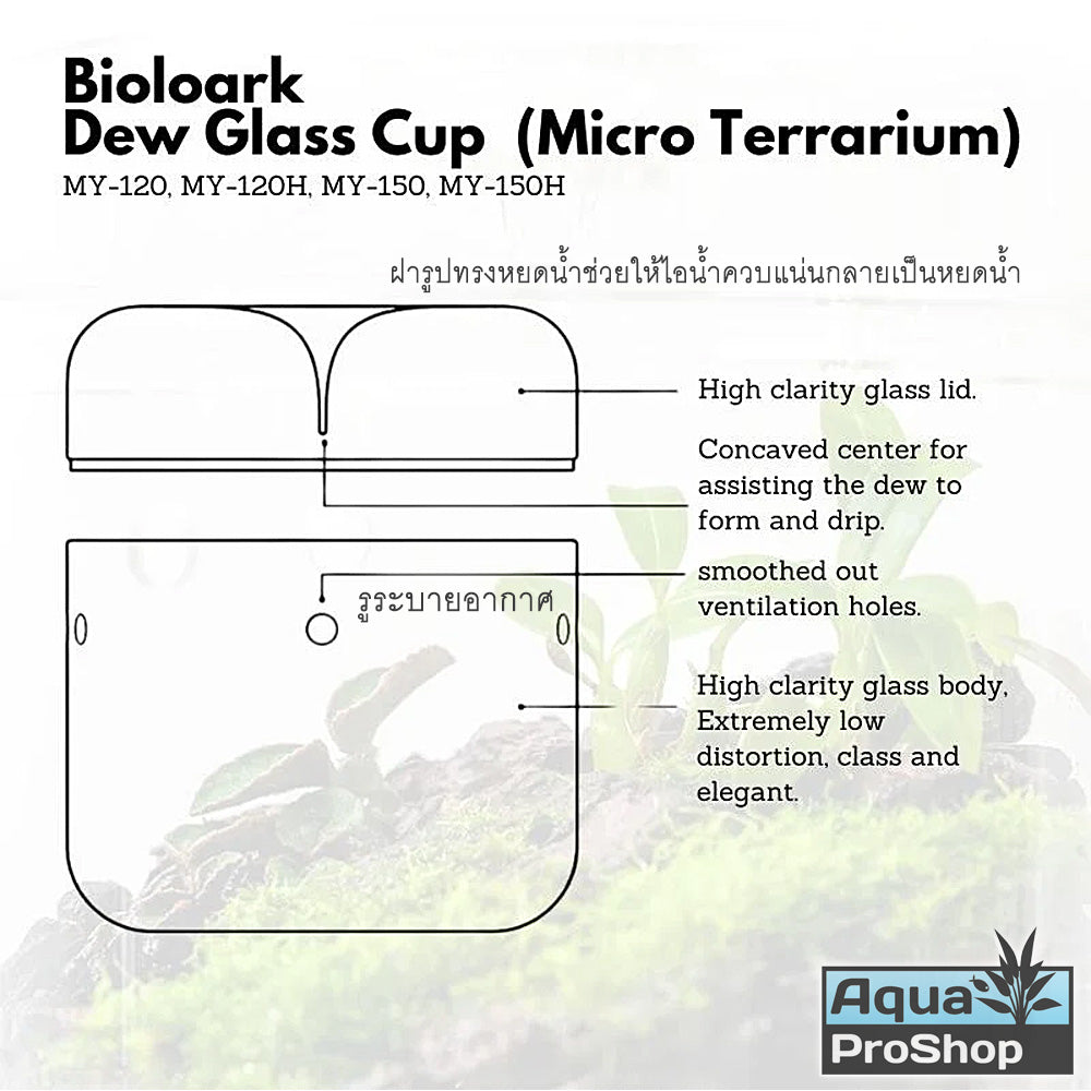 Bioloark MY Series Dew Cup Terrarium โหลแก้วเทอราเรี่ยม โหลเลี้ยงต้นไม้ MY-120 MY-150 MY-180
