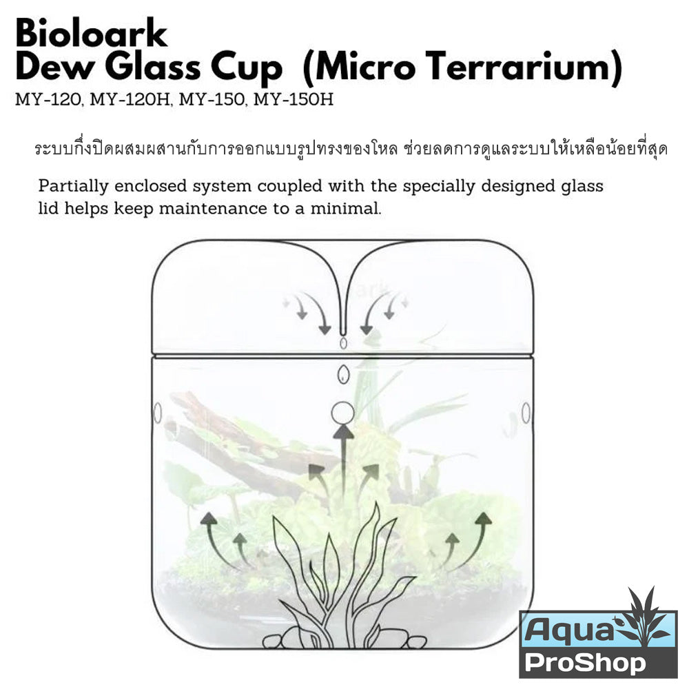Bioloark MY Series Dew Cup Terrarium โหลแก้วเทอราเรี่ยม โหลเลี้ยงต้นไม้ MY-120 MY-150 MY-180