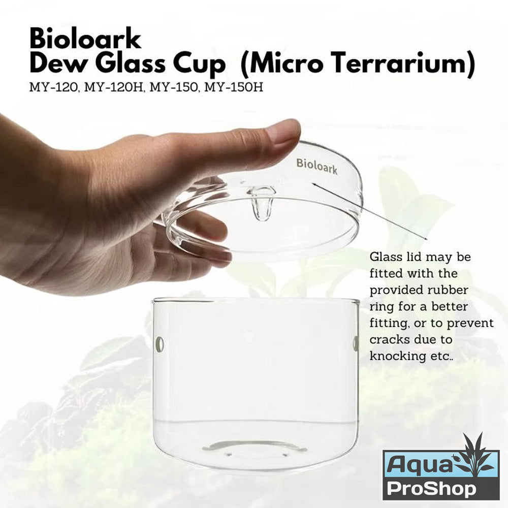 Bioloark MY Series Dew Cup Terrarium โหลแก้วเทอราเรี่ยม โหลเลี้ยงต้นไม้ MY-120 MY-150 MY-180