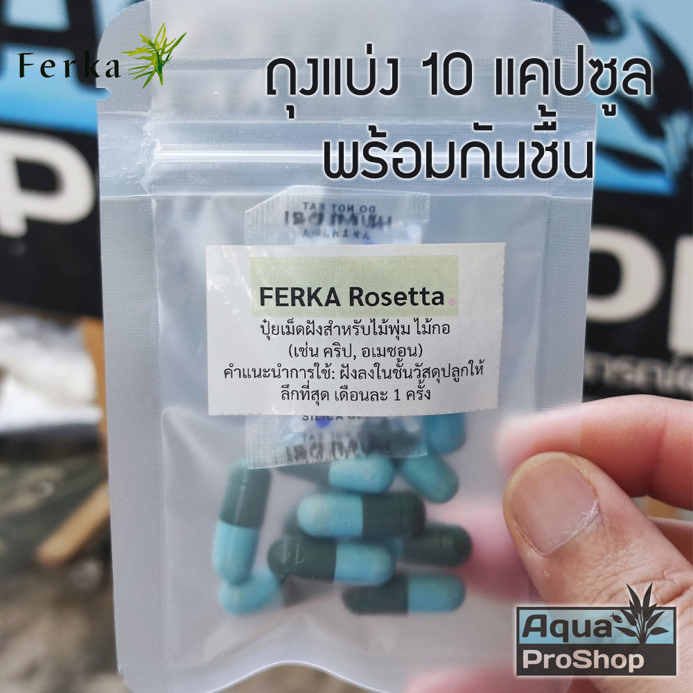 ปุ๋ยฝังสำหรับไม้น้ำ Ferka Stemma, Rosetta แพ็คเกจใหม่ ขนาดขวด 40 แคปซูล และถุงแบ่ง 10 แคปซูล