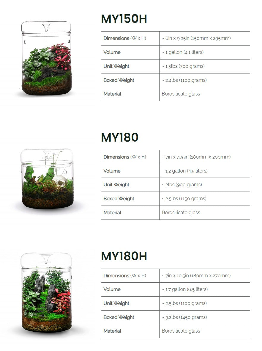 Bioloark MY Series Dew Cup Terrarium โหลแก้วเทอราเรี่ยม โหลเลี้ยงต้นไม้ MY-120 MY-150 MY-180