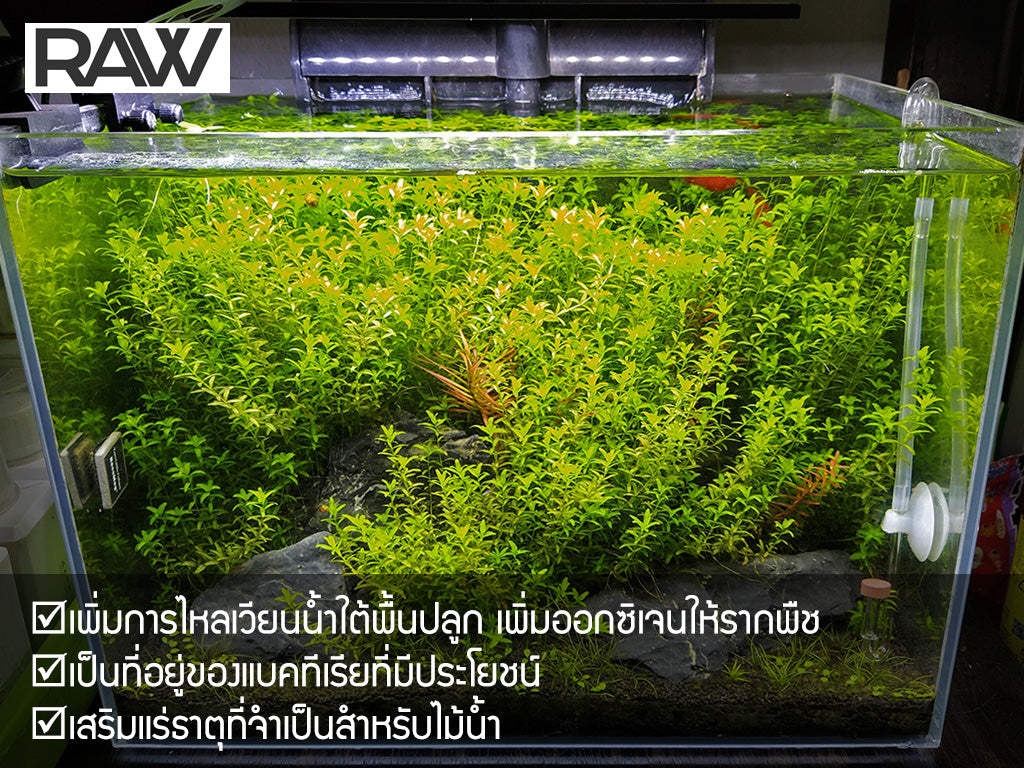วัสดุรองพื้นสำหรับตู้ไม้น้ำ RAW Base ขนาด 1 ลิตร