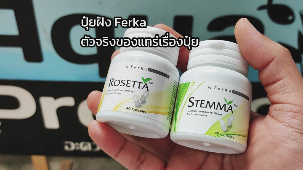 ปุ๋ยฝังสำหรับไม้น้ำ Ferka Stemma, Rosetta แพ็คเกจใหม่ ขนาดขวด 40 แคปซูล และถุงแบ่ง 10 แคปซูล